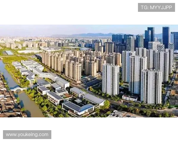 杭州滑板队状态对比深度解析与未来发展展望